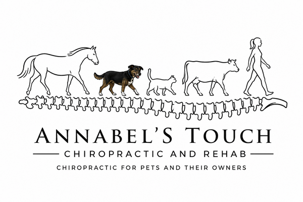 Annabel's Touch Chiropractic and Rehab
