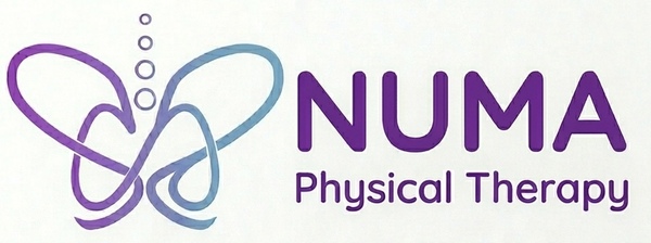 Numa Physical Therapy