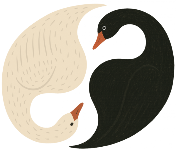 Swan Medicine